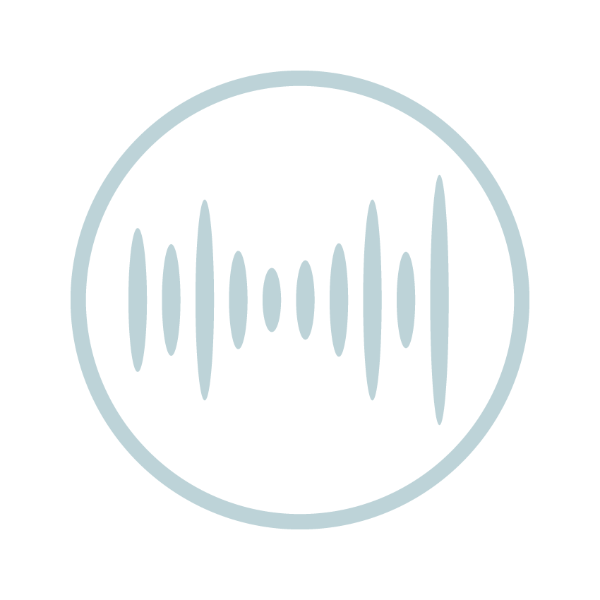 logo_zoomin